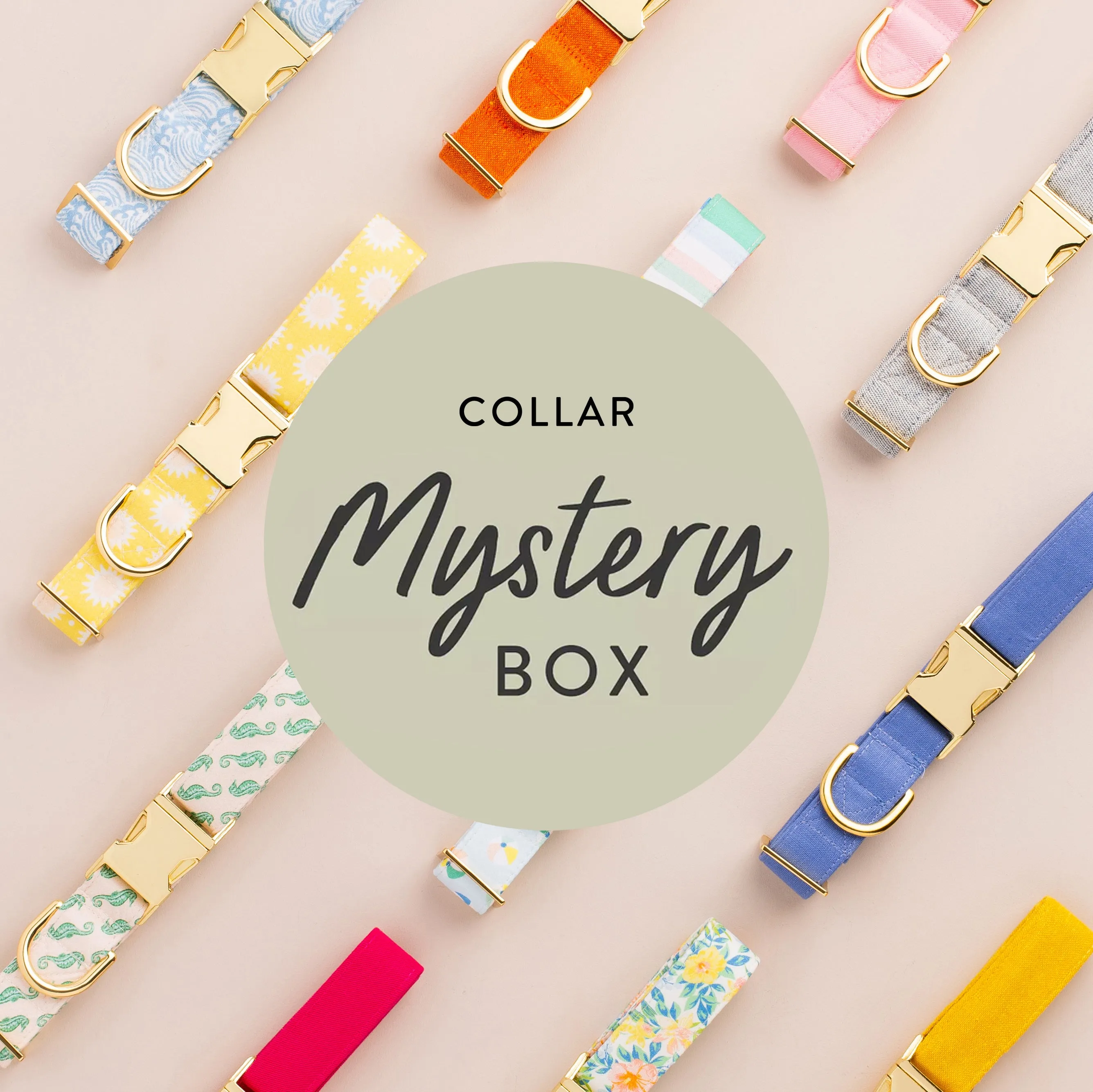 Collar Mystery Box