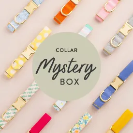 Collar Mystery Box