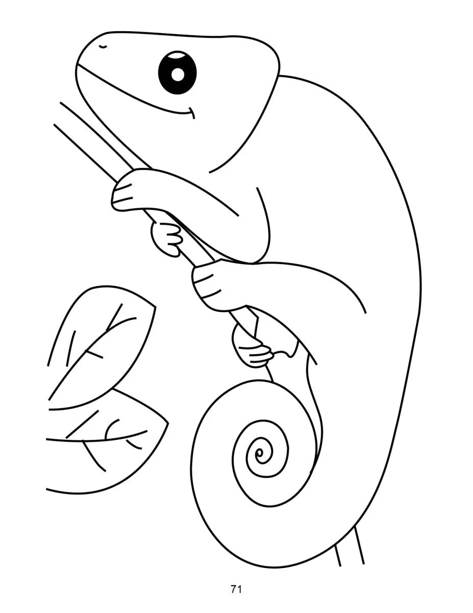 Dreamland Publications Bumper Coloring Books- (4 Titles)
