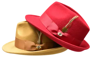 Hudson Collection