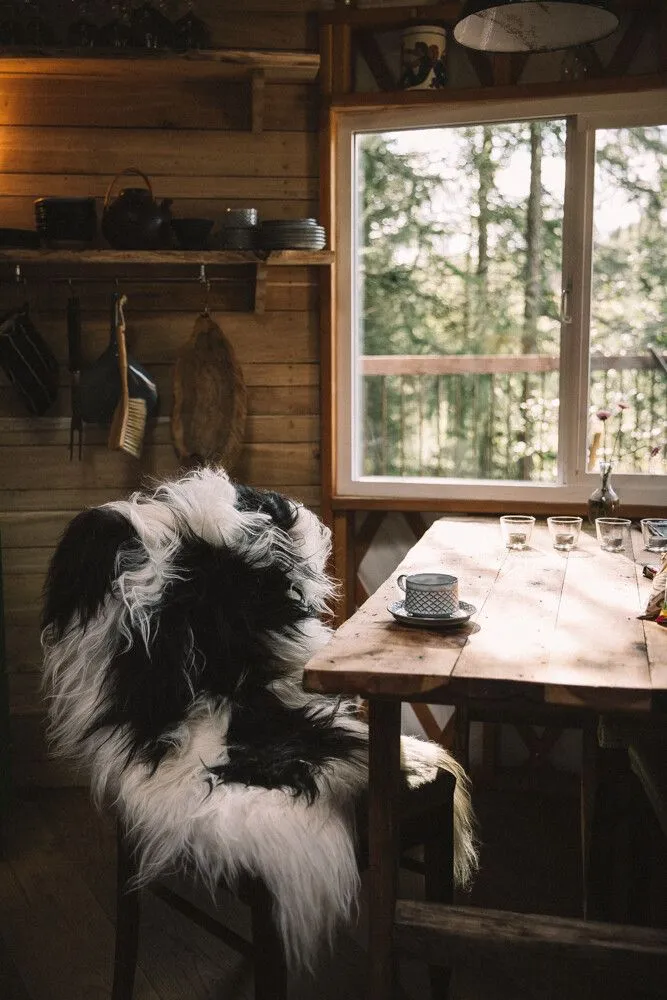Icelandic Sheepskin | Long Wool | 120  cm