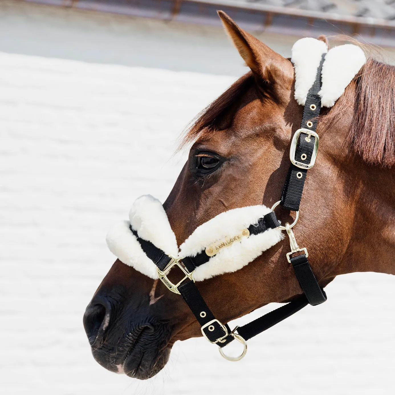 Kentucky Horsewear Nylon Sheepskin Headcollar Soft - Natural