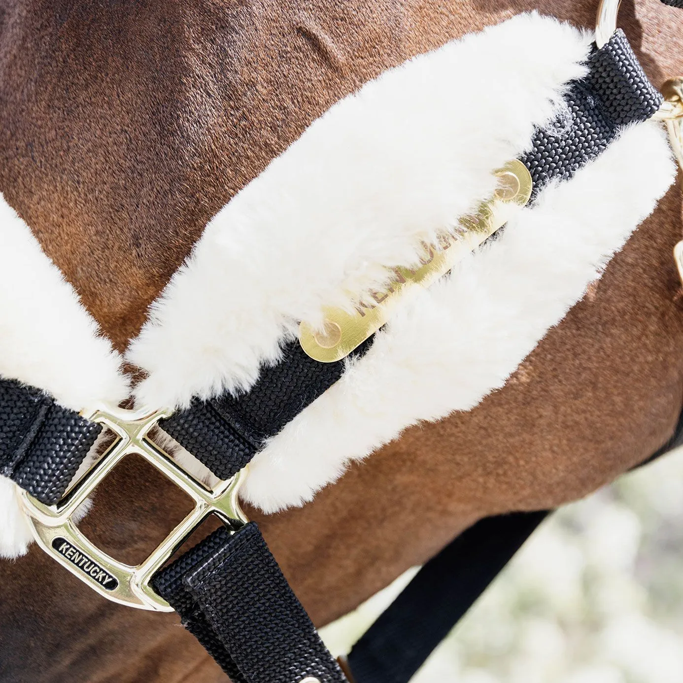 Kentucky Horsewear Nylon Sheepskin Headcollar Soft - Natural