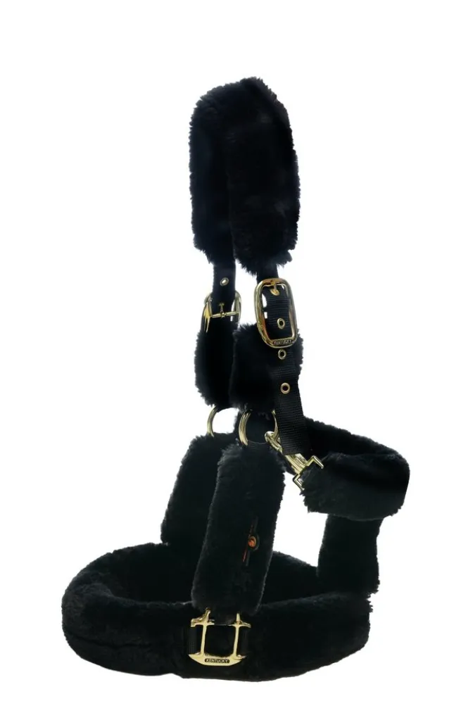 KENTUCKY SHEEPSKIN HALTER
