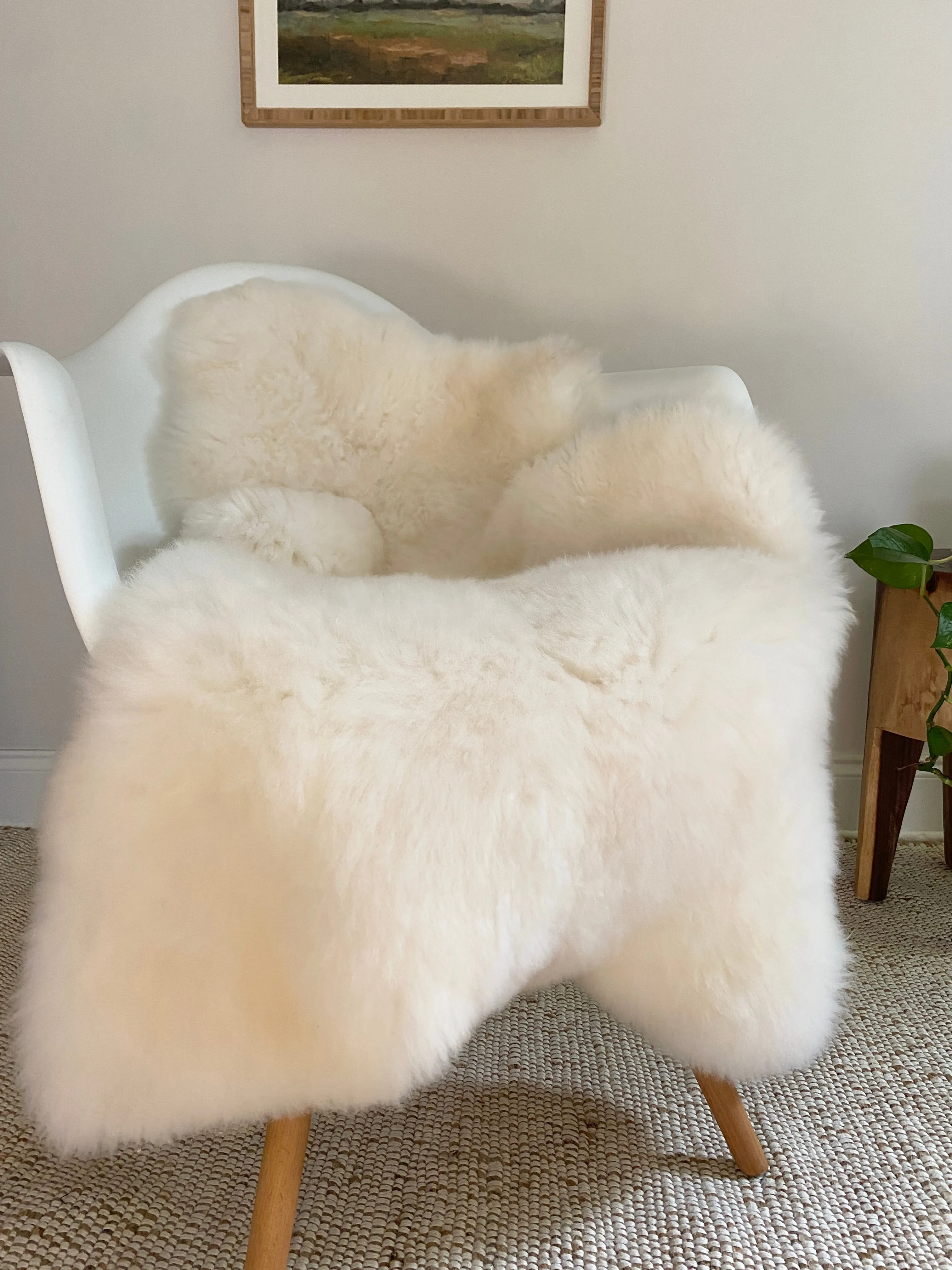 “seconds”  Classic Ivory Sheepskin