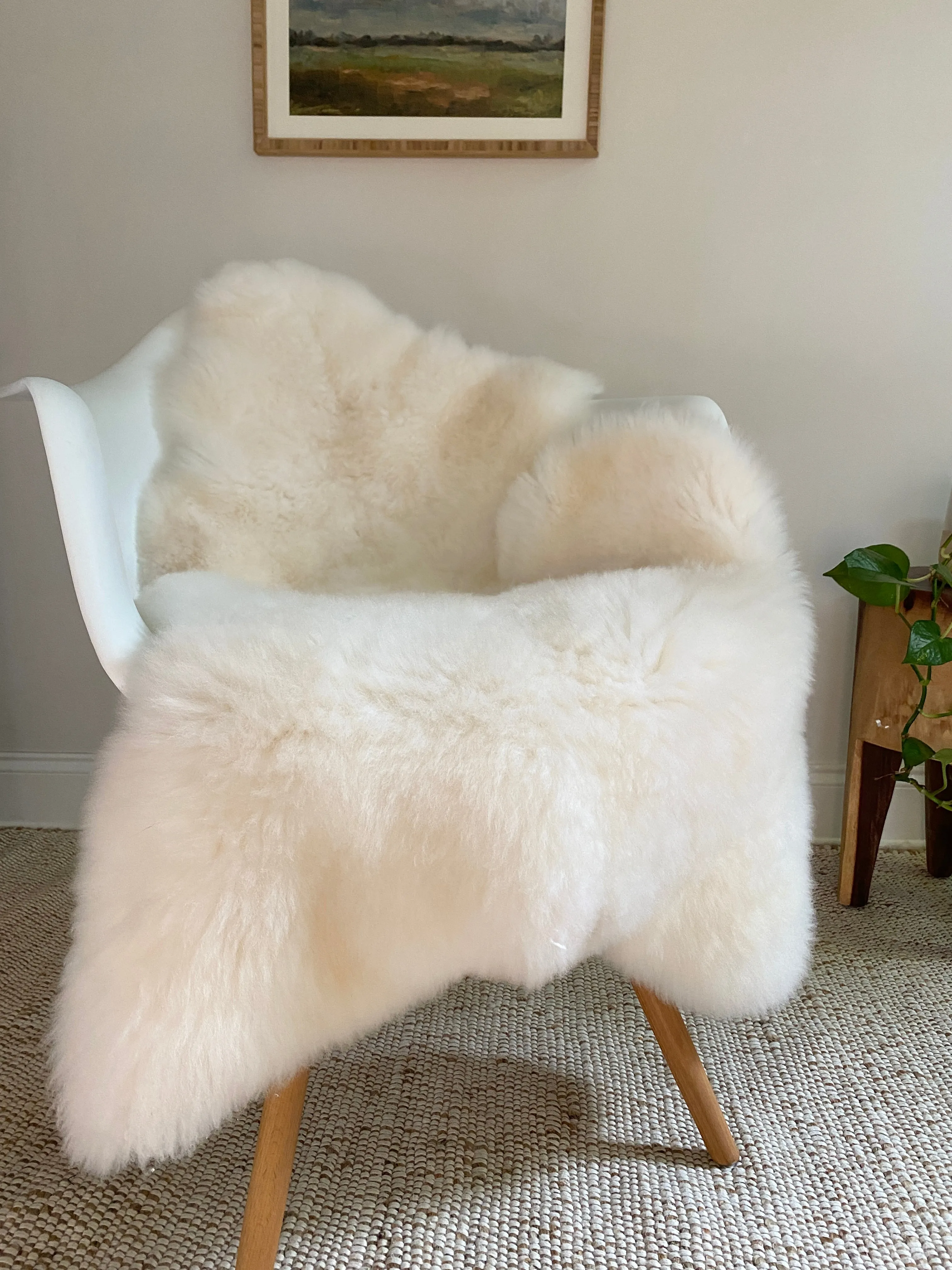 “seconds”  Classic Ivory Sheepskin
