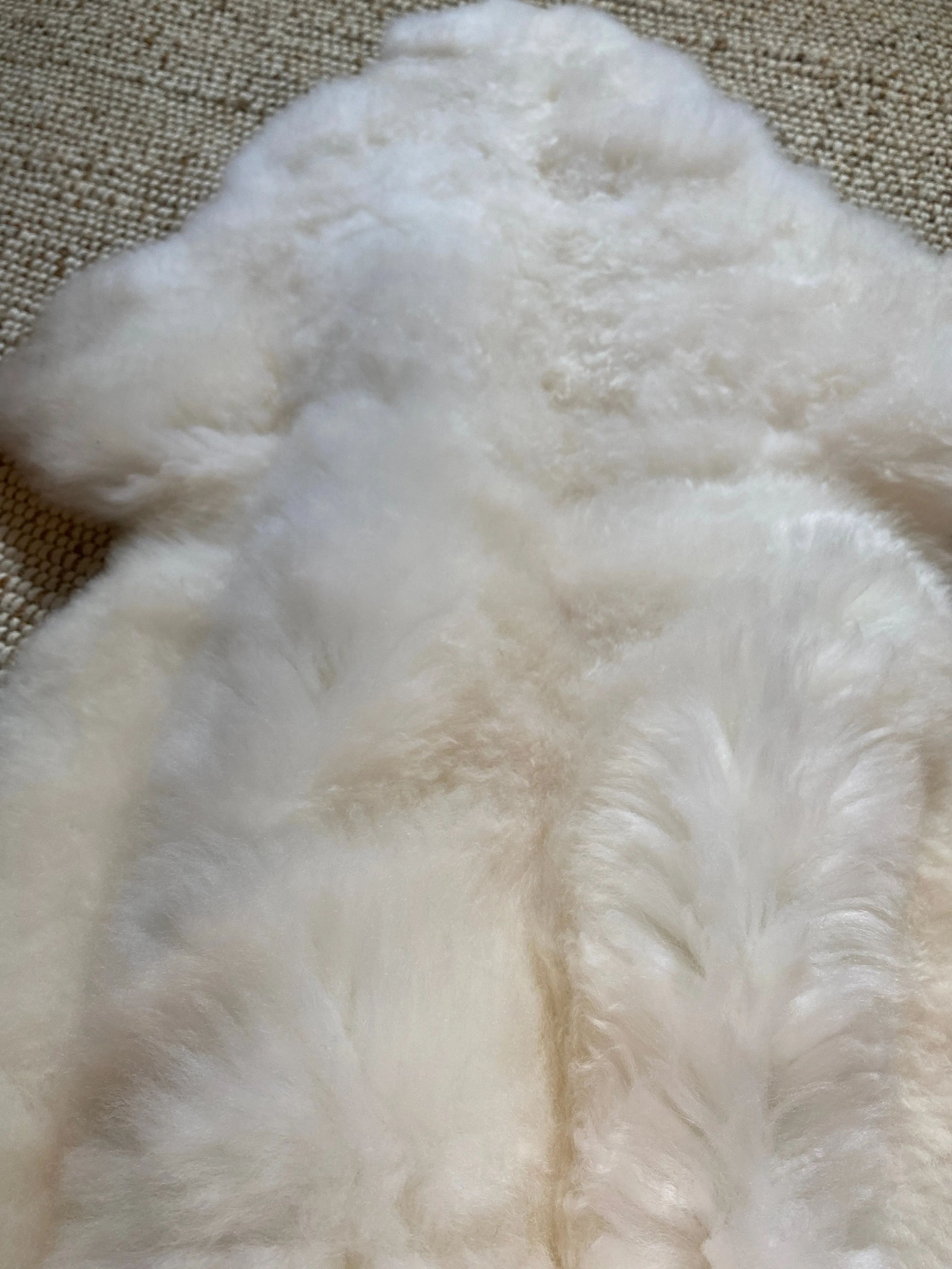 “seconds”  Classic Ivory Sheepskin