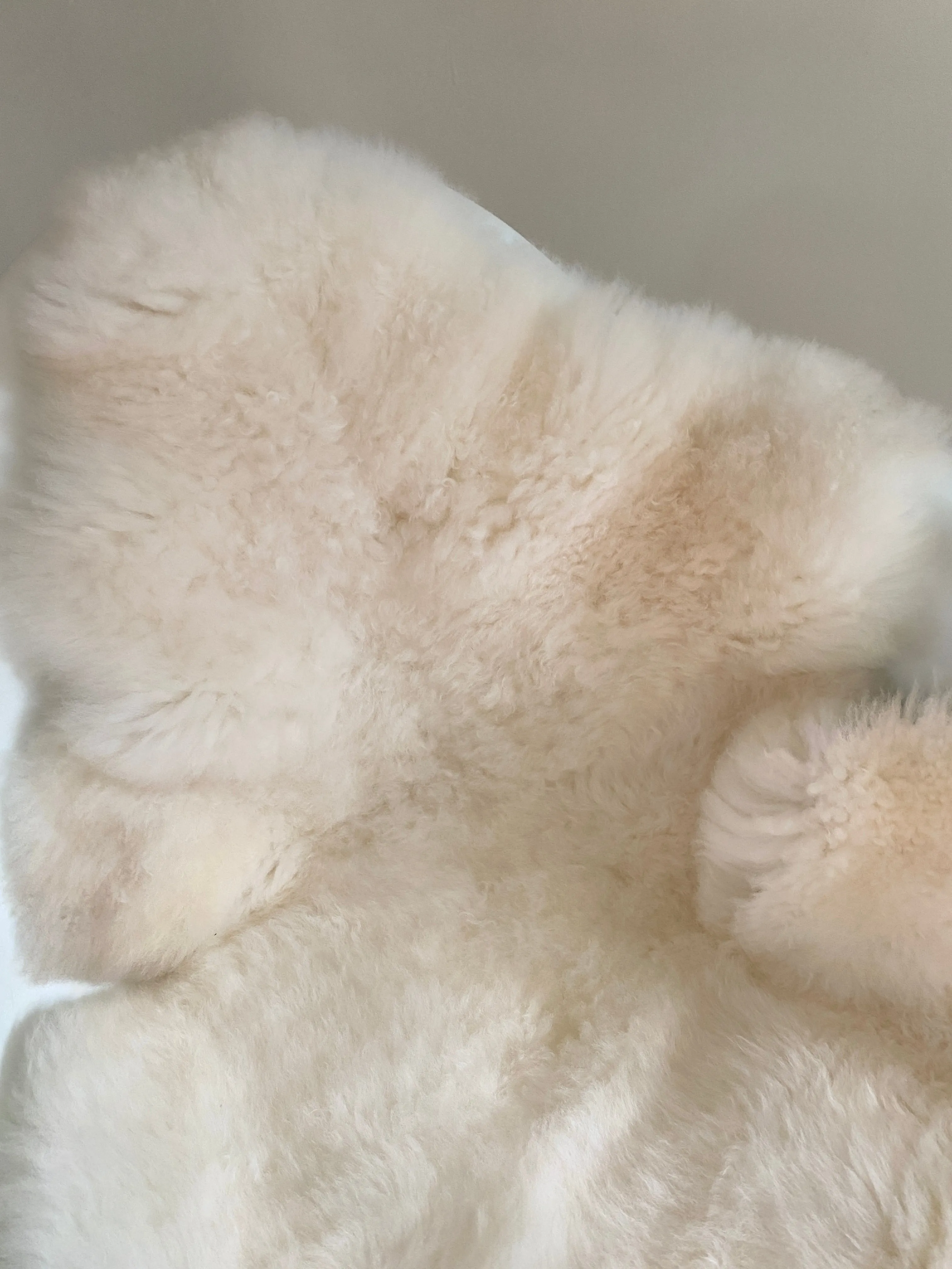 “seconds”  Classic Ivory Sheepskin
