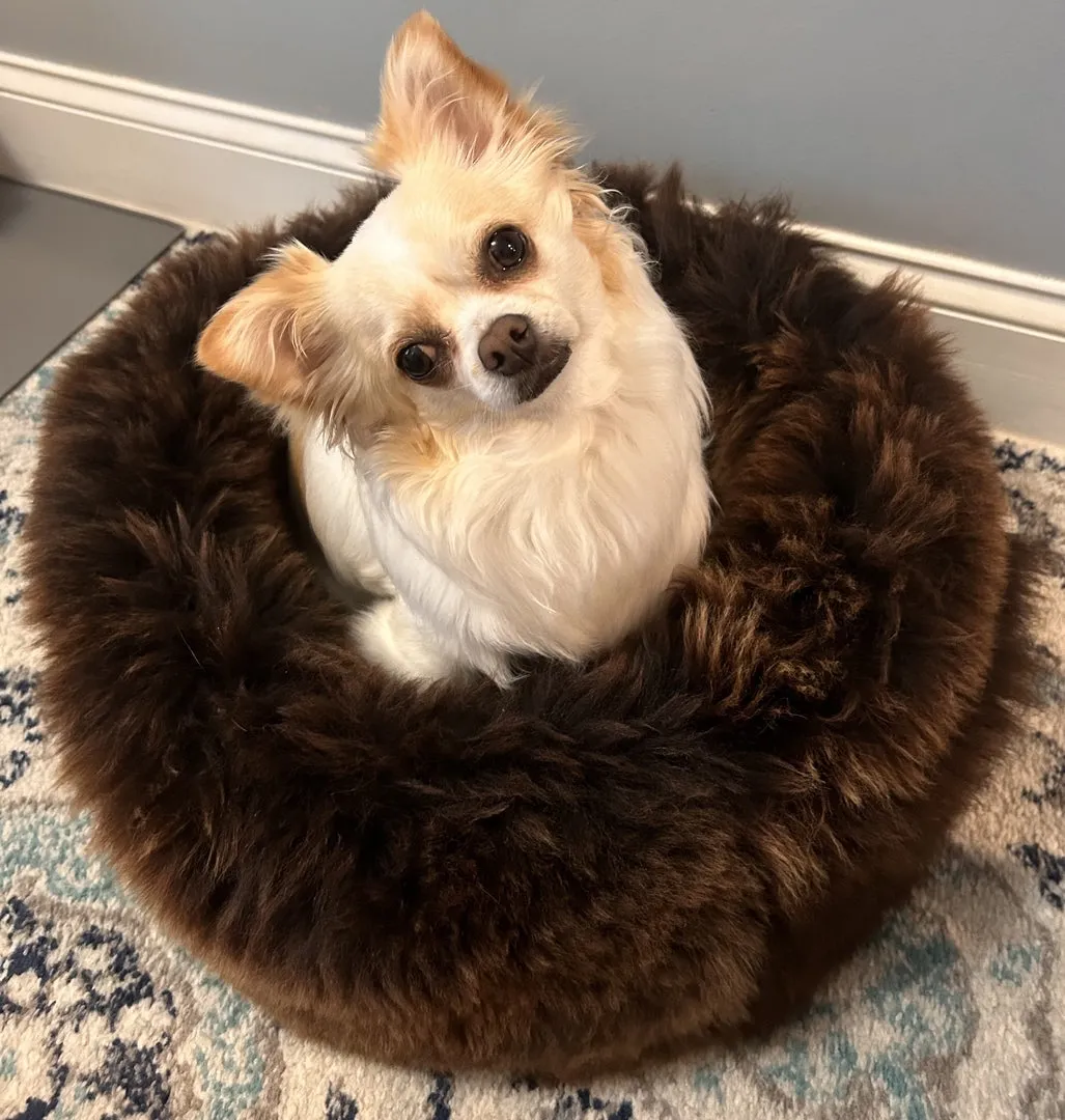 SMALL Ivory Sheepskin Pet Bed