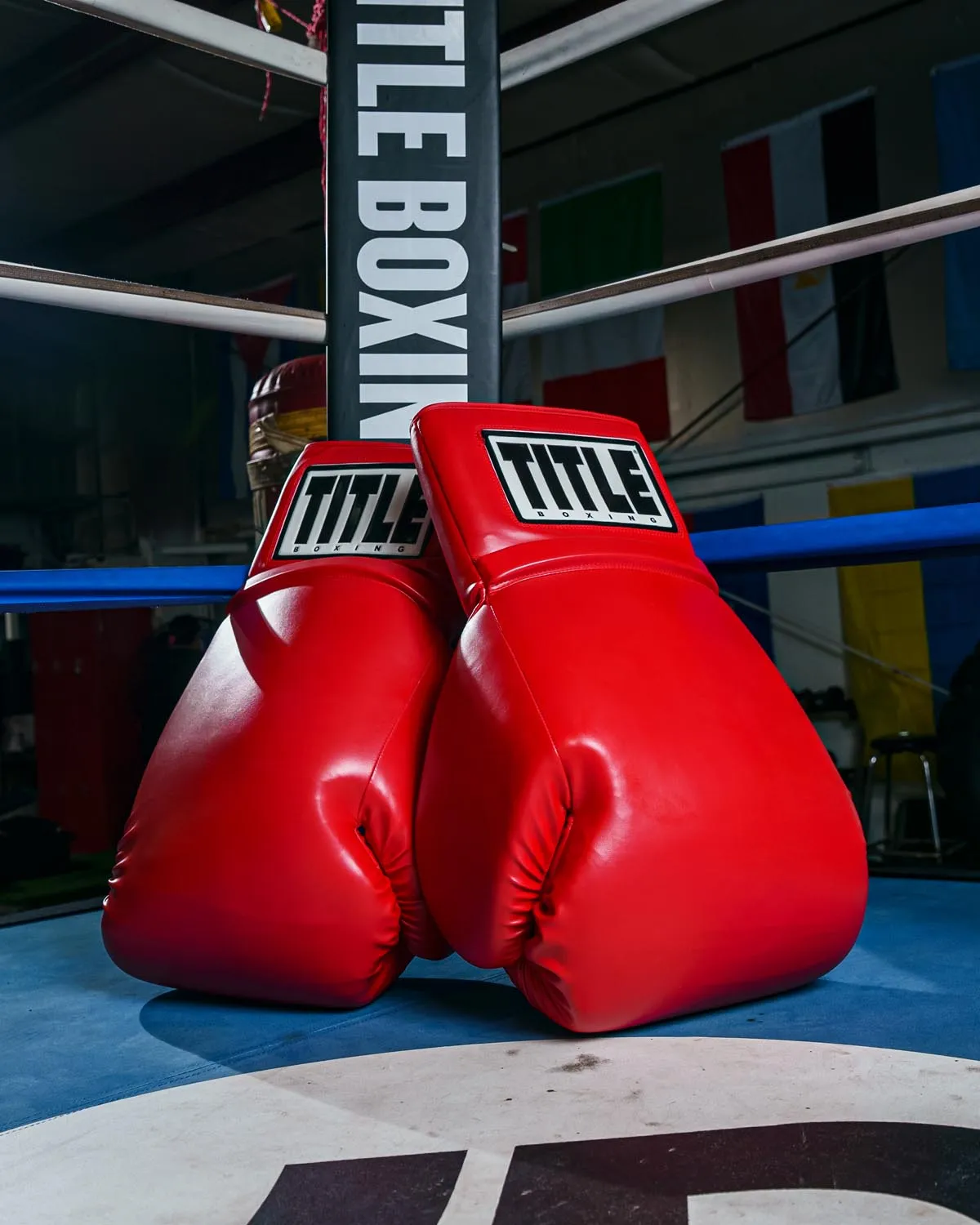 TITLE Boxing Jumbo Boxing Gloves 2.0