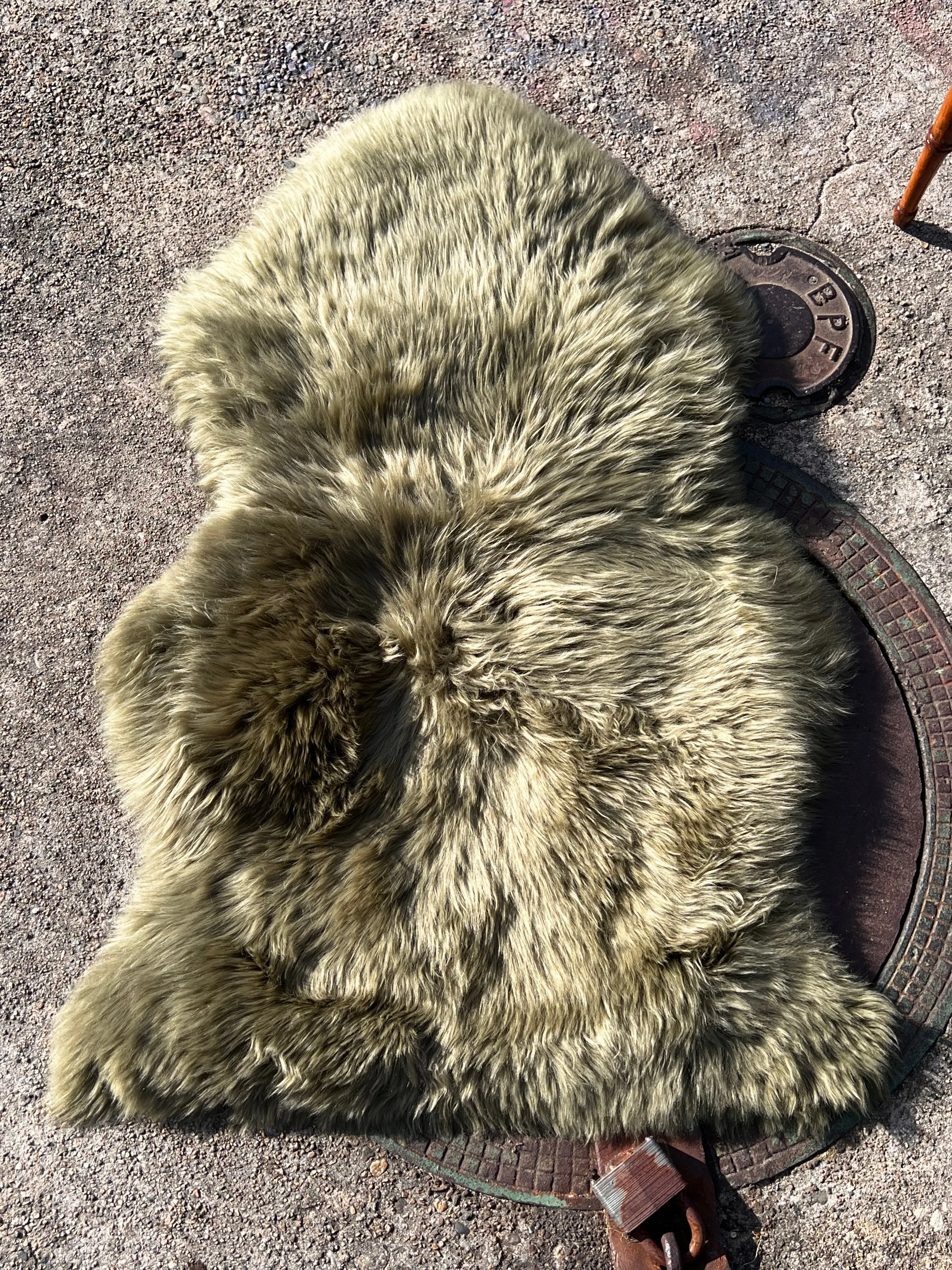 Unikite Jasper Sheepskin